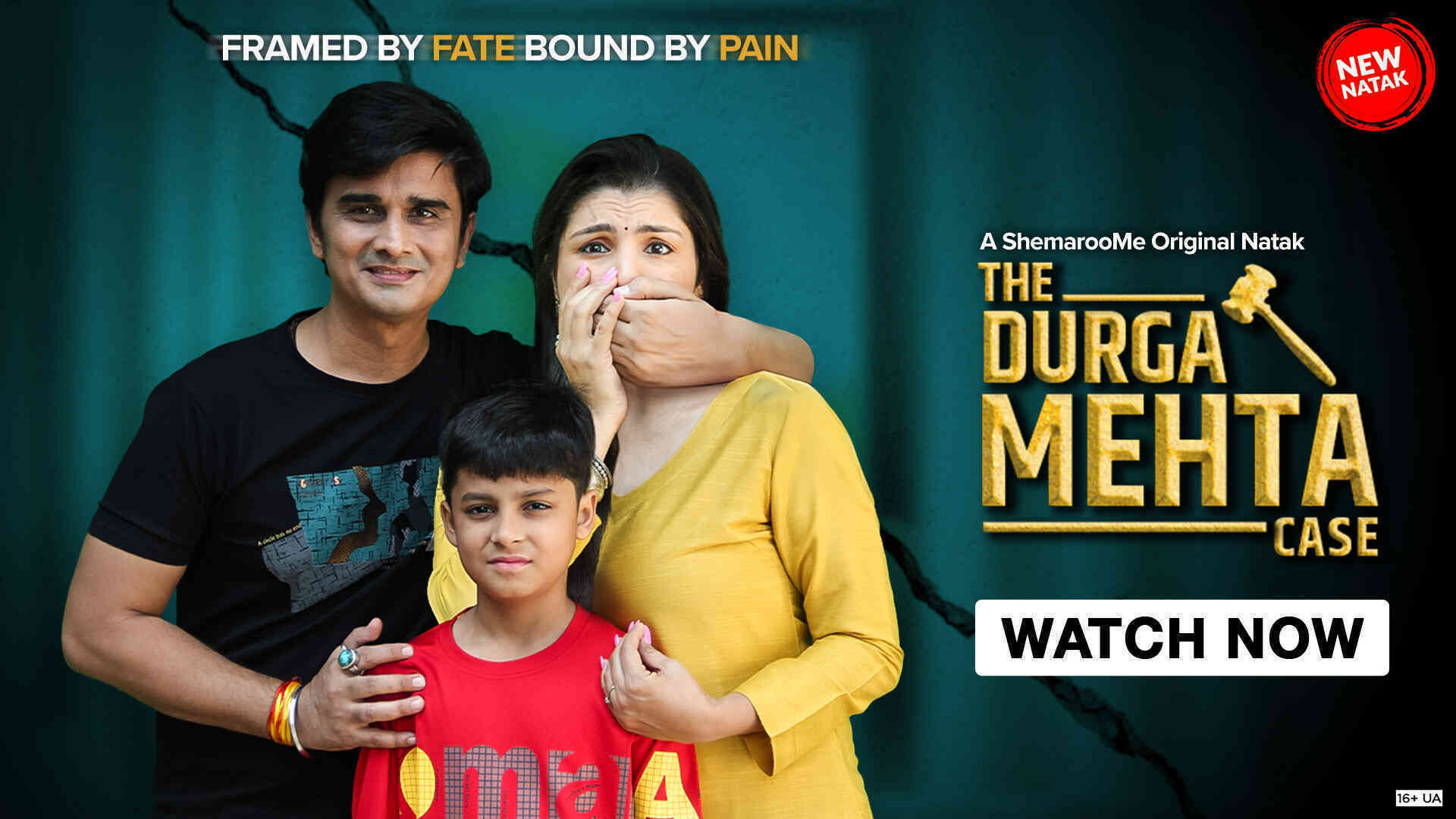 The Durga Mehta Case (2025) Gujarati HDRip 480P